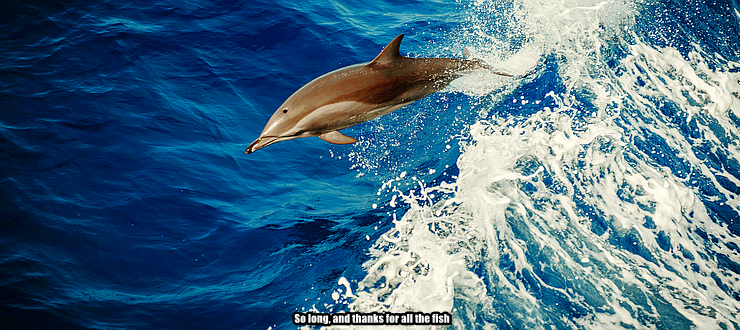 A dolphin dances above the surface of the sea, with the caption, “So long, and thanks for all the fish.”